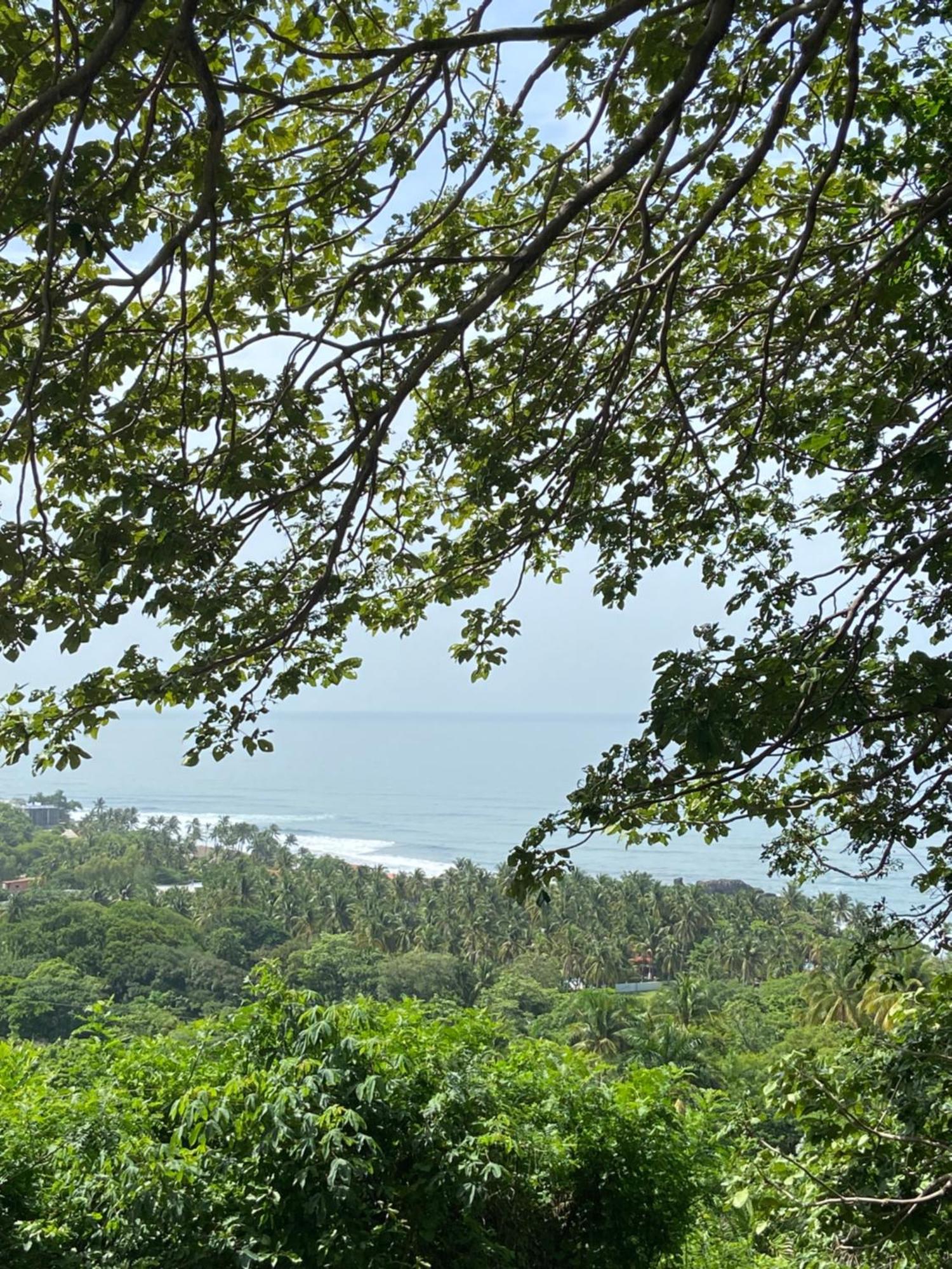 Eco Sky Villas เอลซุนซัล ภายนอก รูปภาพ